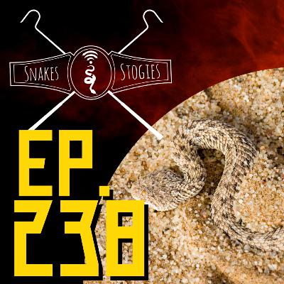 Snakes & Stogies Ep. 238