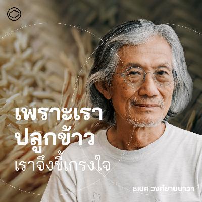 In Relationships | SS 7 EP. พิเศษ | ข้าว เครื่องมือของอุดมการณ์ทางการเมือง เพราะปลูกข้าว เราจึงขี้เกรงใจ