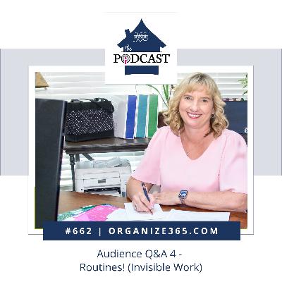 662 - Audience Q&A 4 - Routines! (Invisible Work)