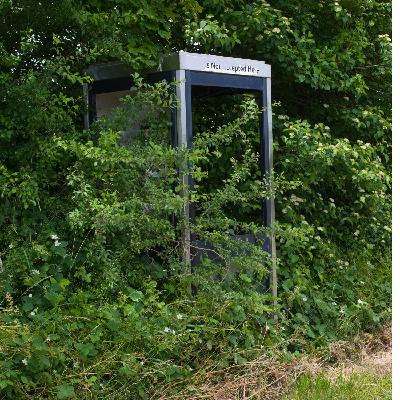 Overgrown hedgegrows are they an issue in your area? Overgrown hedgegrows are they an issue in your area?