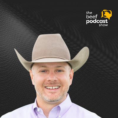 Lance Zimmerman: Beef Market Outlook | Ep. 134