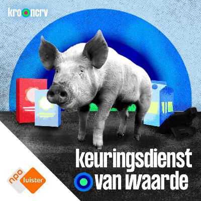#1 - Waarom krijgt een varken steeds meer tepels?