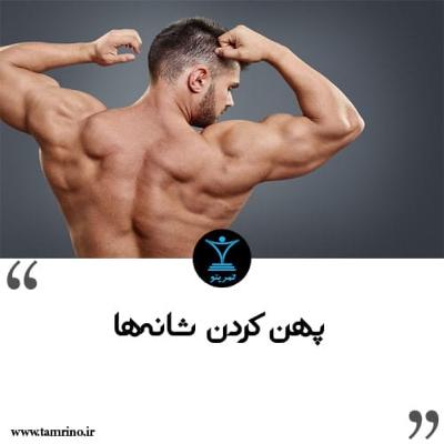 راهنمای پهن کردن شانه ها (هوش مصنوعی)