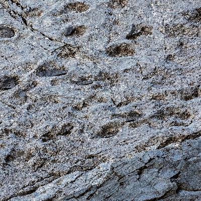 Dinosauri sulle Alpi: la scoperta della Valle di Fraele