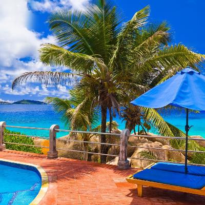 Intro to The Promiscuous Scholar