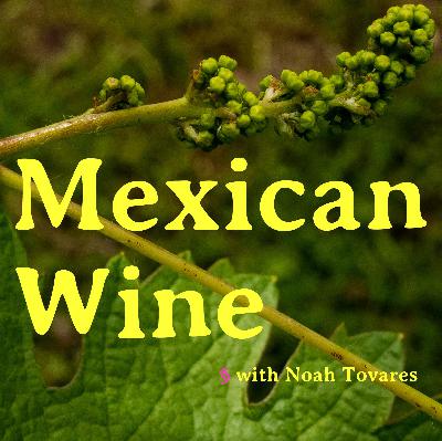 Mexican Wine