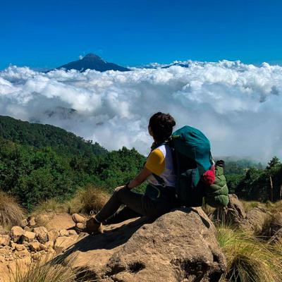 Algo Obvio que Olvidamos/ FELICIDAD