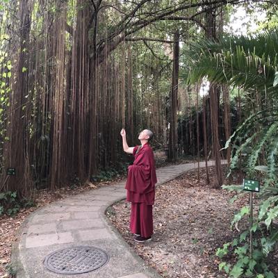 EP08 念死無常第三根本思死時除佛法業力外無可隨走-為什麼大菩薩化現很常是王公貴族？