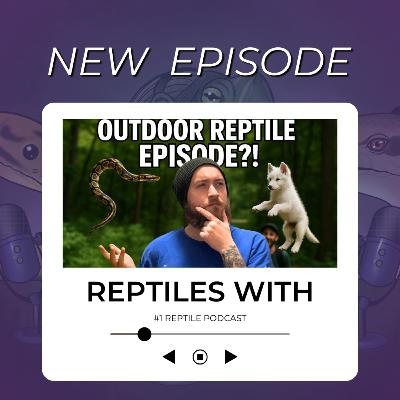 Burnout, Juggling Ball Pythons & Dire Wolf Updates?! OUTDOOR Reptile Talk | Reptiles With Podcast