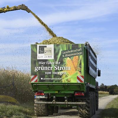 "Biogas leistet dasselbe wie Gaskraftwerke - 50 Milliarden Euro günstiger" - Sandra Rostek (HBB)