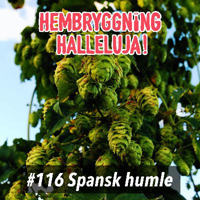Avsnitt 116 - Spansk humle