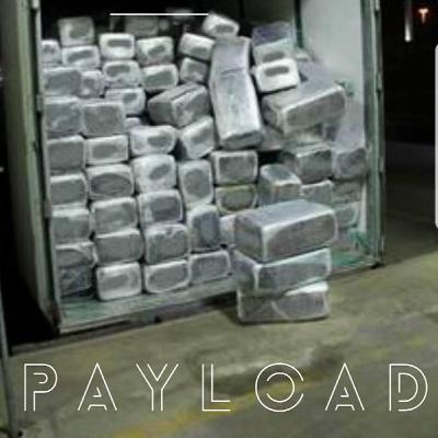 Payload