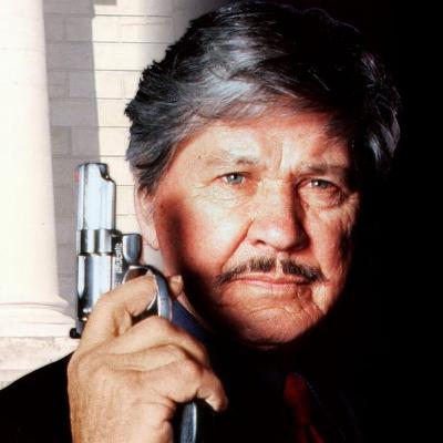 Death Wish V: The Face of Death (1994)