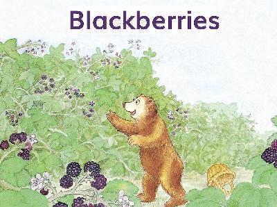 【Tina姐姐讲故事】Blackberries(level6)