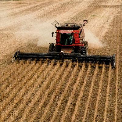 A Fifth-Generation Farmer on Trump’s $12B Bailout