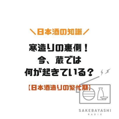 寒造りの裏側！今、蔵では何が起きている？【日本酒造りの繁忙期】#6斗5升5合