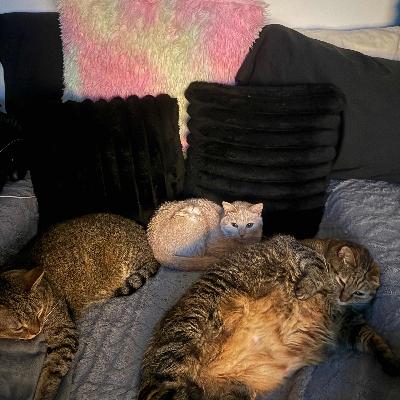 Michael Simonetti Top 8s A GP! Michael Simonetti Top 8s A GP!