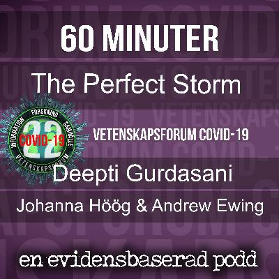 The Perfect Storm