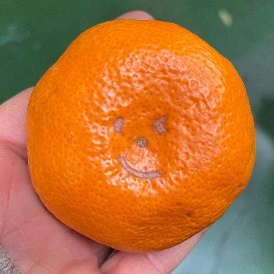 夢見る#10今年も宜しくお願いします