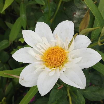 Fear & Loathing In Tulsa