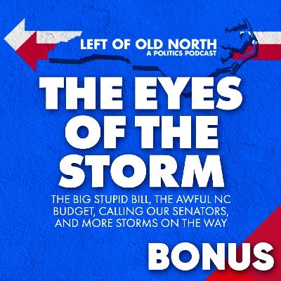 The Eyes of the Storm: The Big Stupid Bill, the Awful NC Budget, Calling Our Senators, and More