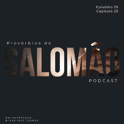 Provérbios 25 – A Palavra Certa na Hora Certa