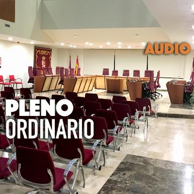 Pleno Ordinario del 27/02/2025 Pleno Ordinario del 27/02/2025