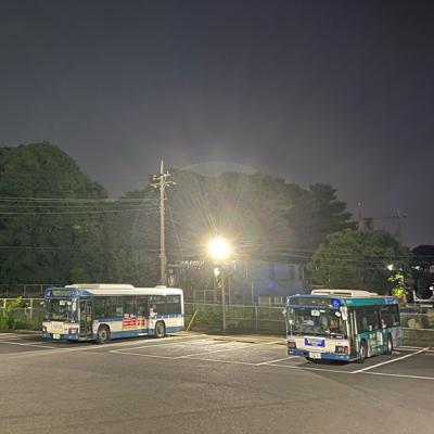 余談58. アリさんパンダさん0123