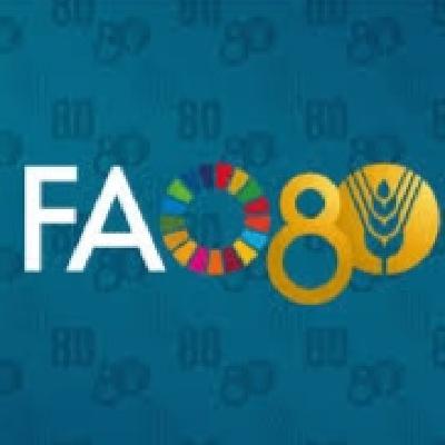 Día Mundial de la Alimentación. Reflexiones y recomendaciones. Día Mundial de la Alimentación. Reflexiones y recomendaciones.