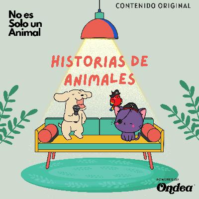 Milei lo hizo, ¿Usted lo haría? Milei lo hizo, ¿Usted lo haría?