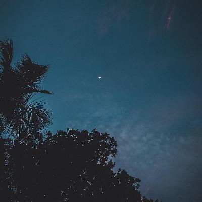 Siddhartha Gautama de Shakya