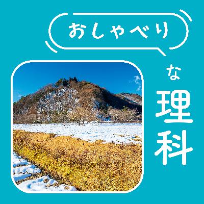 #152【4年 寒くなると】みんな、いろいろな冬越しで春を待っている！