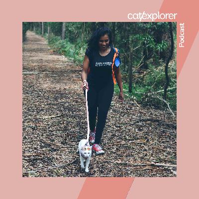 Catexplorer Podcast - An Update