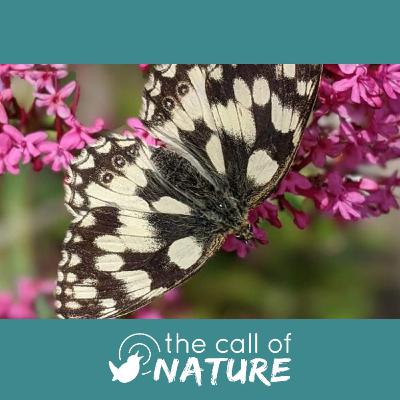 Episode 3 "Beavers and Beer Goggles"