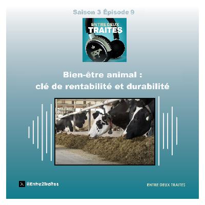 Bien-être animal : clé de rentabilité et durabilité