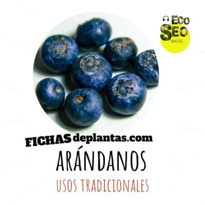 Arándanos Arándanos