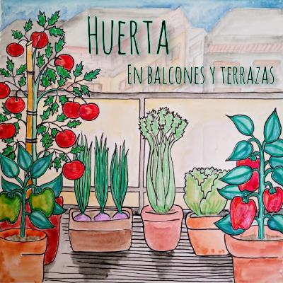 Huerta en balcones y terrazas Huerta en balcones y terrazas