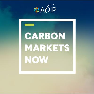 How Digital Technology is Revolutionizing Global Carbon Markets | Carbon Markets Now (Episode 06)