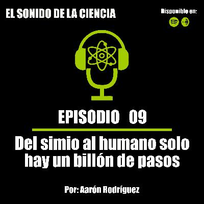 T1E09: Del simio al humano solo hay un billón de pasos