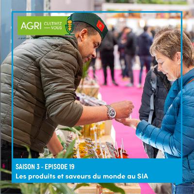 Les produits et saveurs du monde au Salon