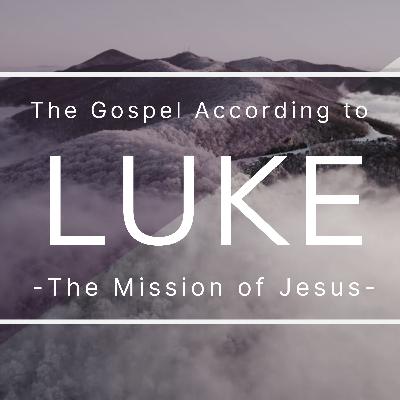 Christ Causes Flourishing