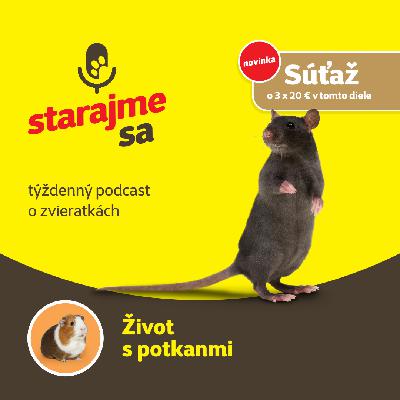 Drobné cicavce: Život s potkanmi Drobné cicavce: Život s potkanmi