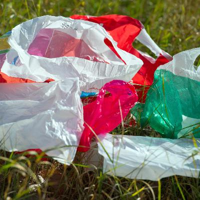 Fünf Jahre Plastiktüten-Verbot in deutschen Supermärkten Fünf Jahre Plastiktüten-Verbot in deutschen Supermärkten