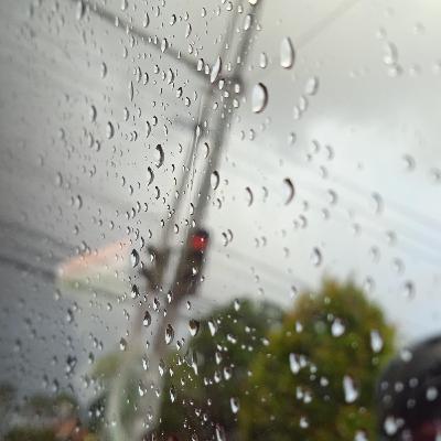 Potatoes, Eggs and Coffee Bean Story