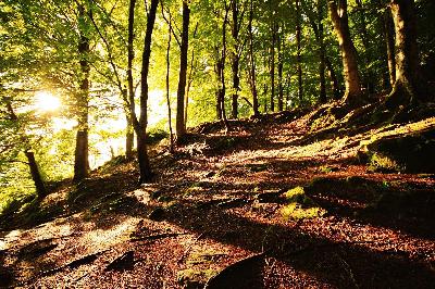 Álava: naturaleza diversa y serena entre montañas, viñedos y humedales