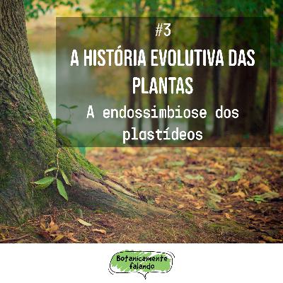 A história evolutiva das plantas #3: A endossimbiose dos plastídeos - Botanicamente falando