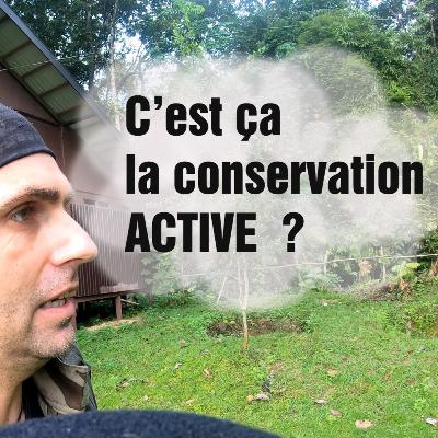 [Ep5] Les méthodes de Chanee pour sauver la forêt !