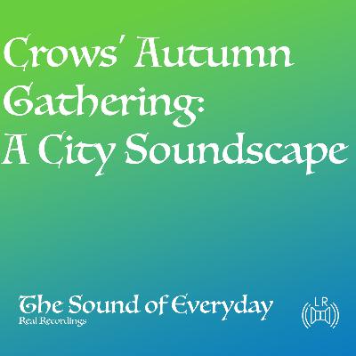 Crows' Autumn Gathering: A City Soundscape - Relaxing Nature Sound