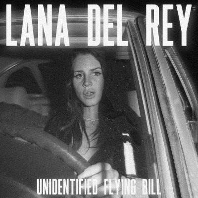 Unidentified Flying Bill