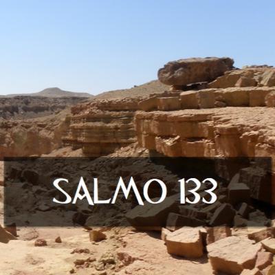 Salmo 133 Biblia (NTV) Nueva Traducción Viviente Audio Biblia